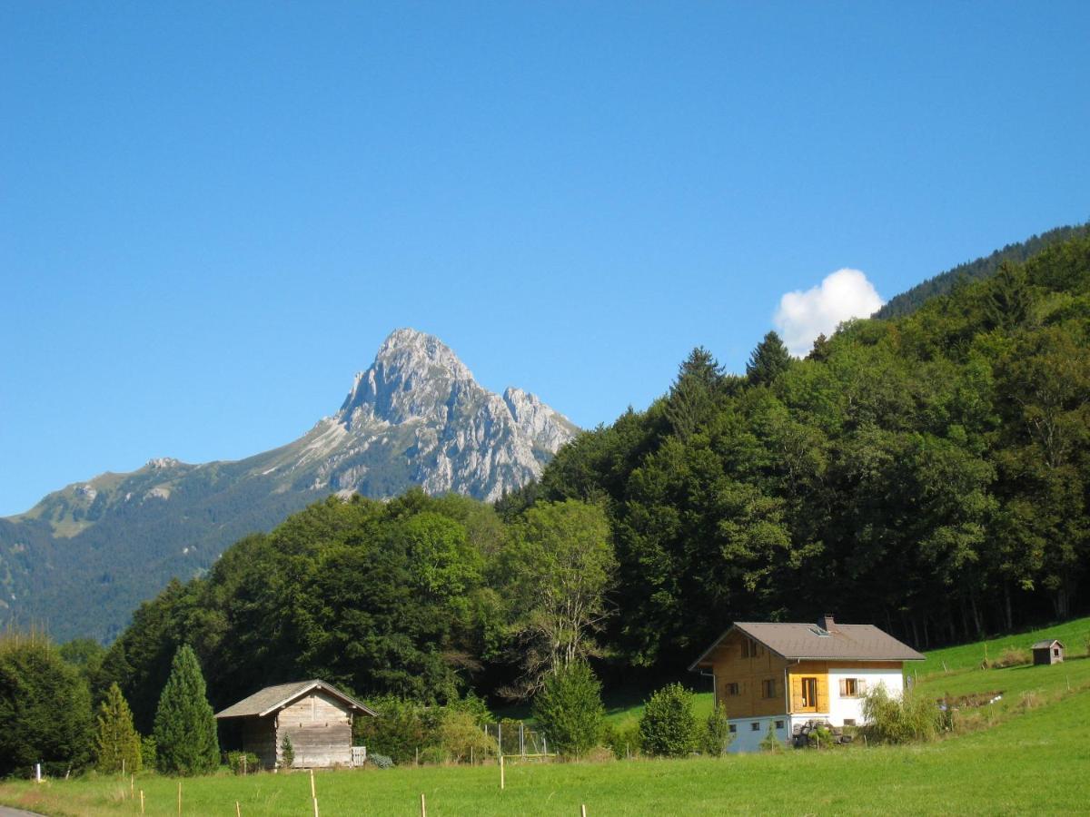 Appartement Au Pied Des Pistes, Avec Vue Sur La Montagne Bernex Buitenkant foto
